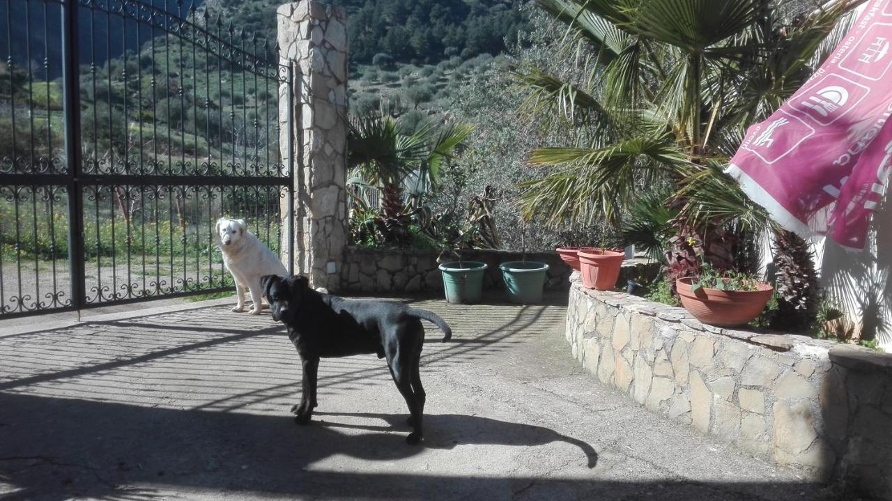 Villa Casa Siciliana Altarbiah Trabia Exterior foto